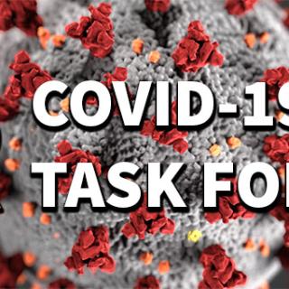 SR covid task force
