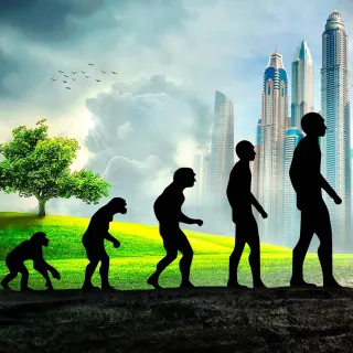 Evolution from ape to man