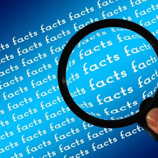 facts under a magnifying glass