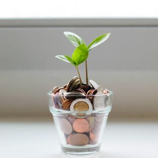 A small plant growing out of a cup of coins