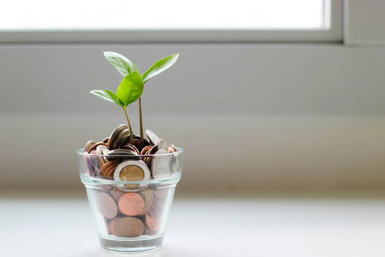 A small plant growing out of a cup of coins